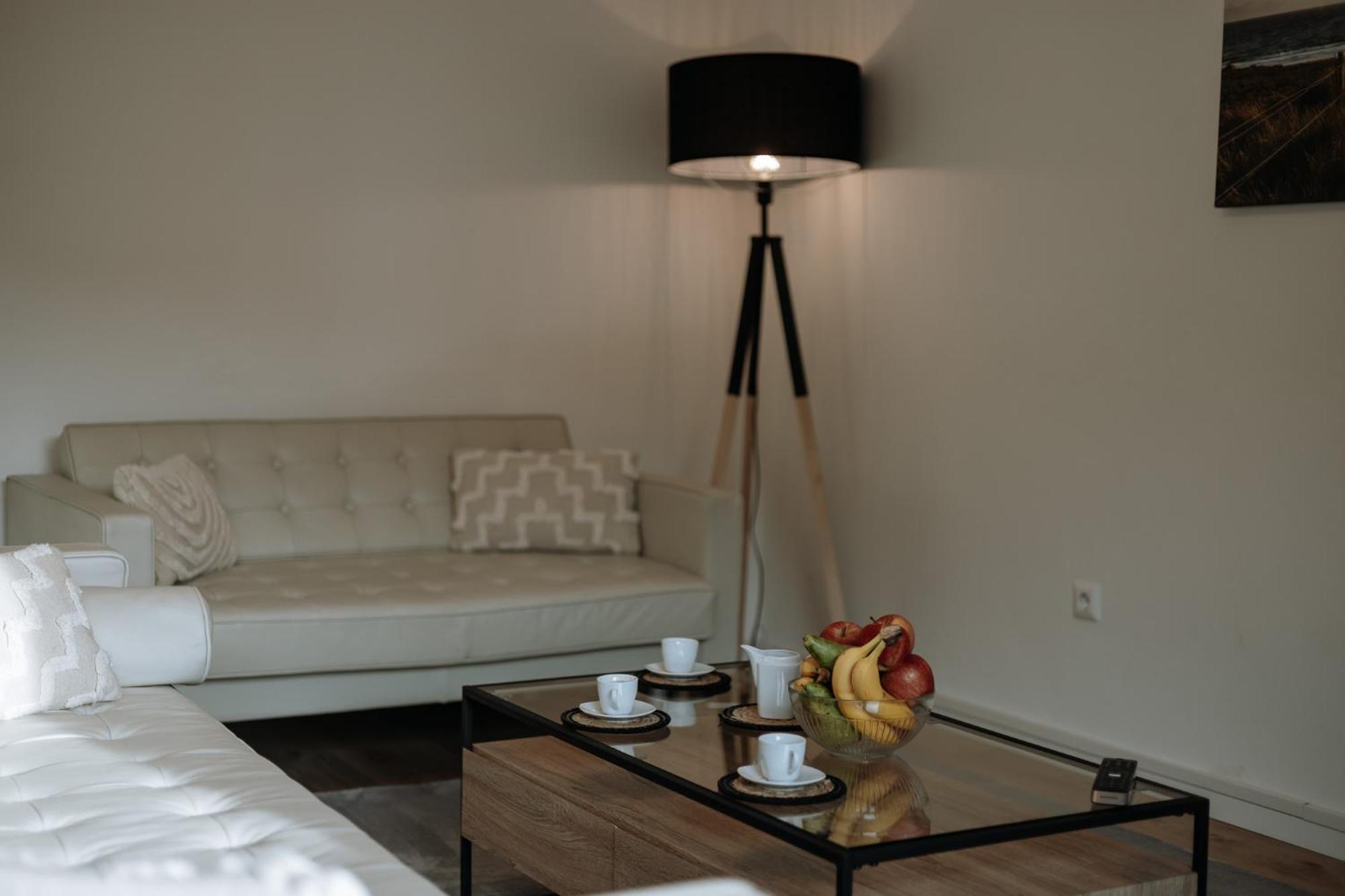 Stilvolles Appartement Mit Blick Auf Das Dreifluesse-Eck Passau Kültér fotó